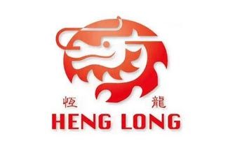 Heng Long RC Elektronik